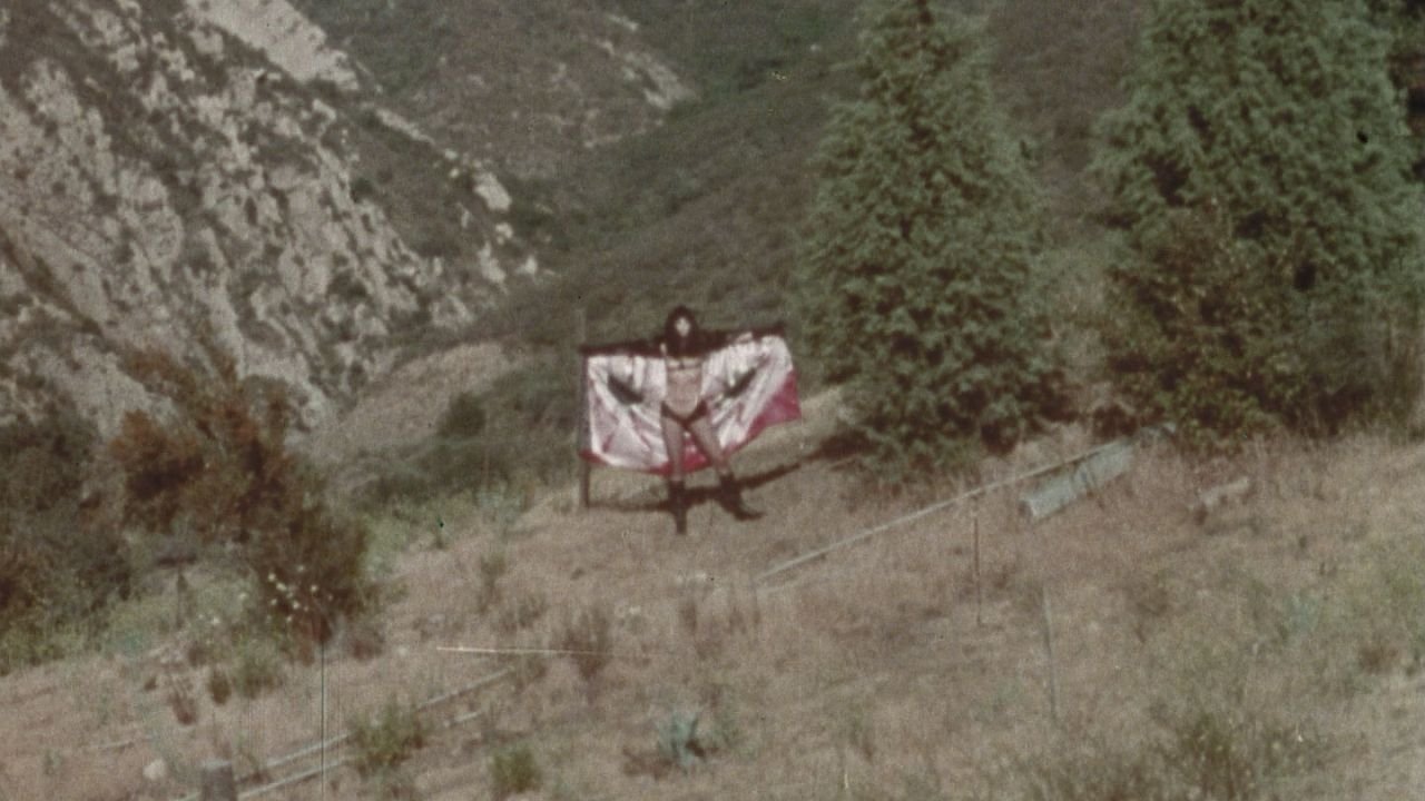 movie backdrop
