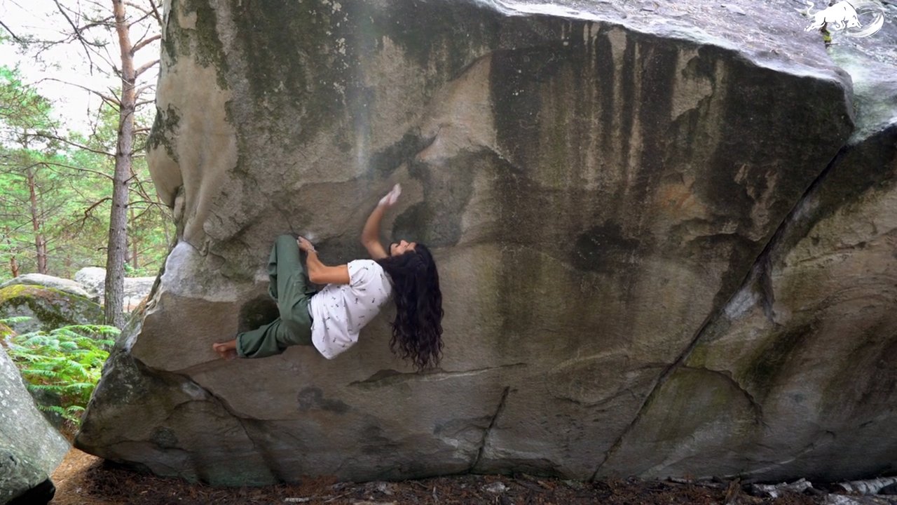 movie backdrop