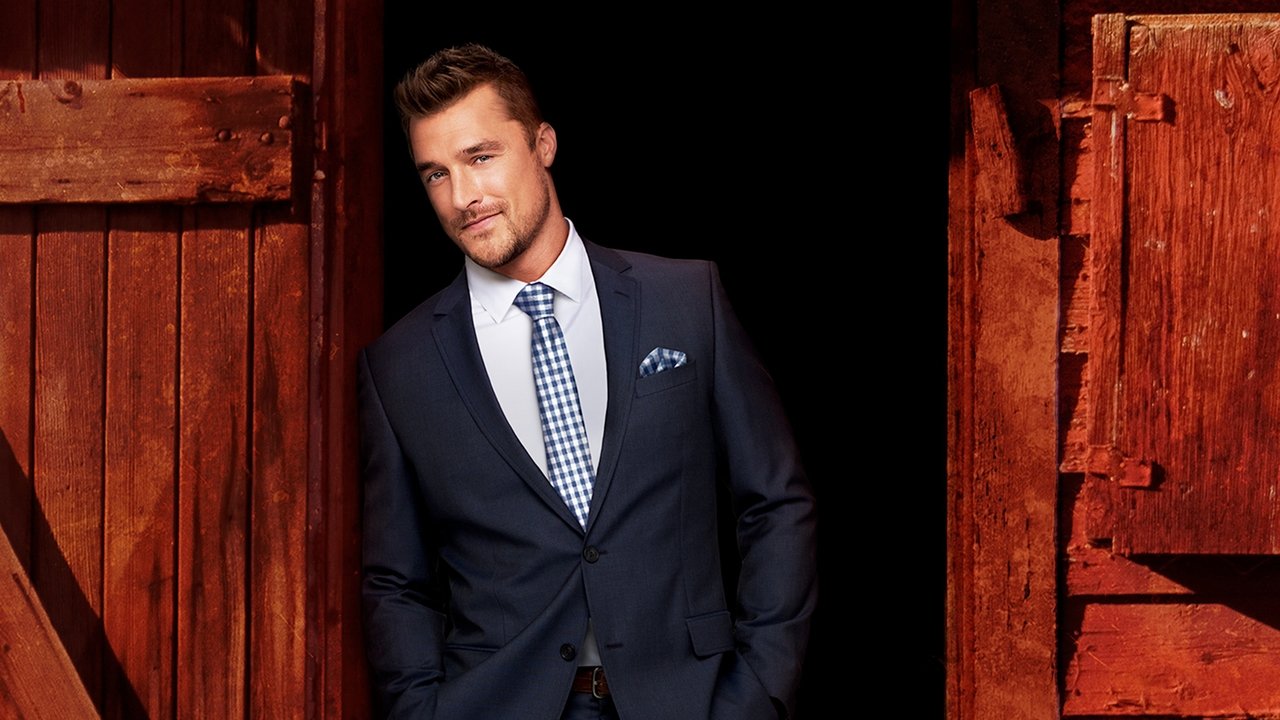 The Bachelor - Season 20