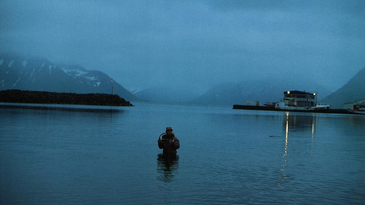 movie backdrop