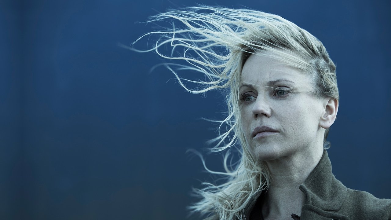 The Bridge - Season 1 Episode 3 : Episode 3