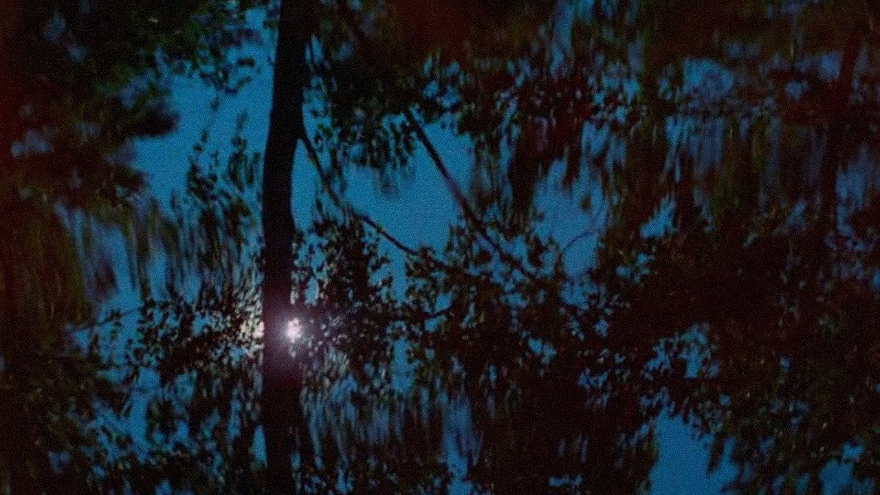 movie backdrop