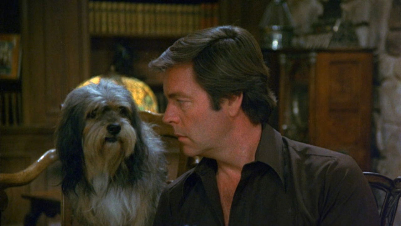 Hart to Hart - Season 3 Episode 22 : The Harts Strike Out