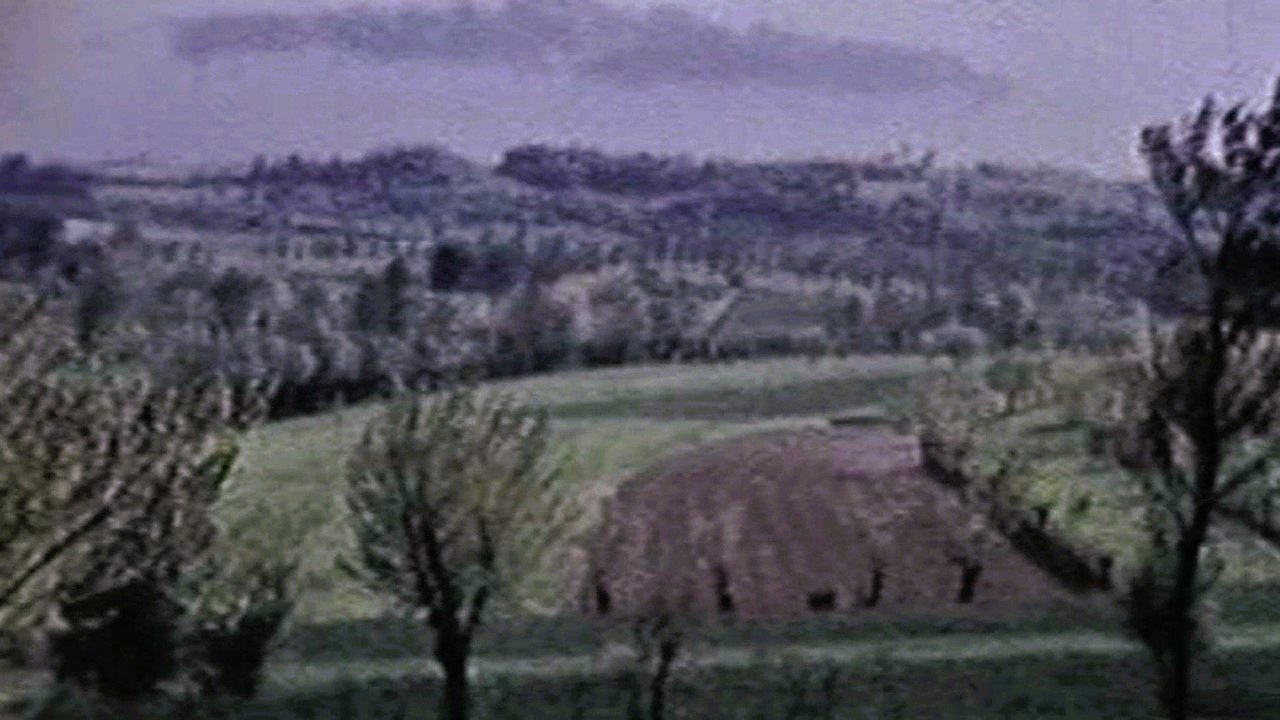 movie backdrop
