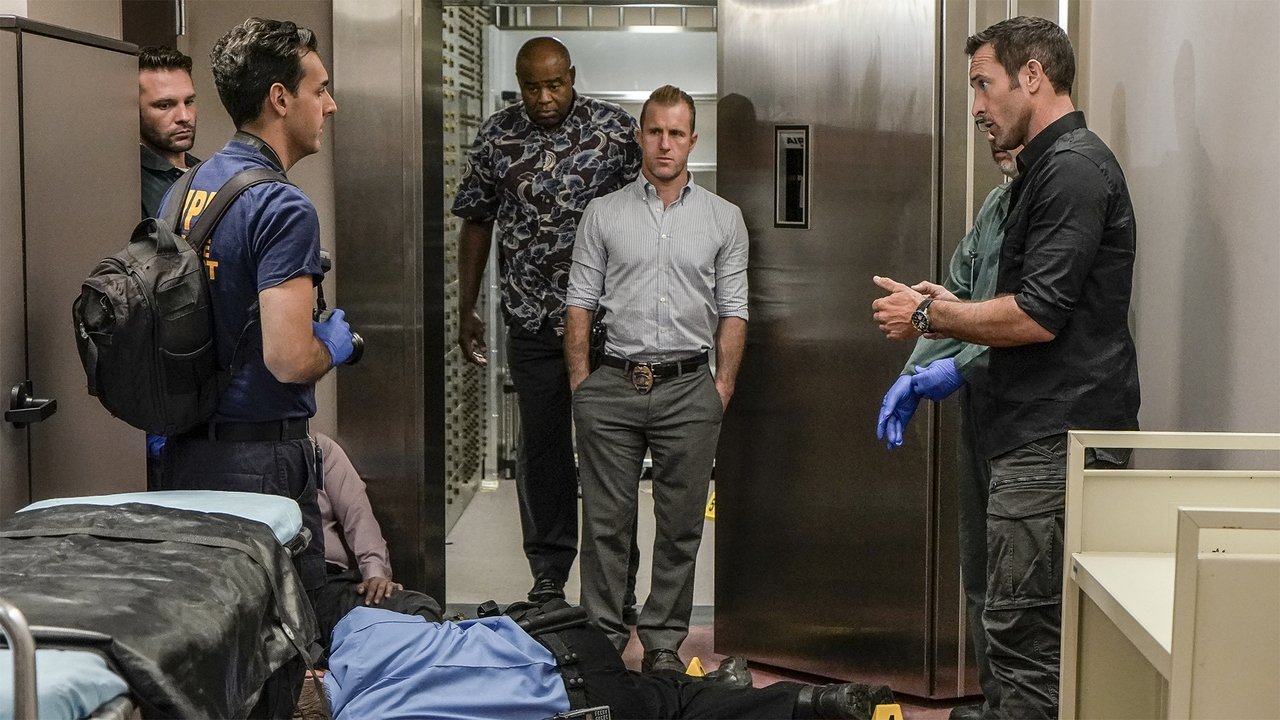 Image Hawai 5.0 (Hawaii Five-0)