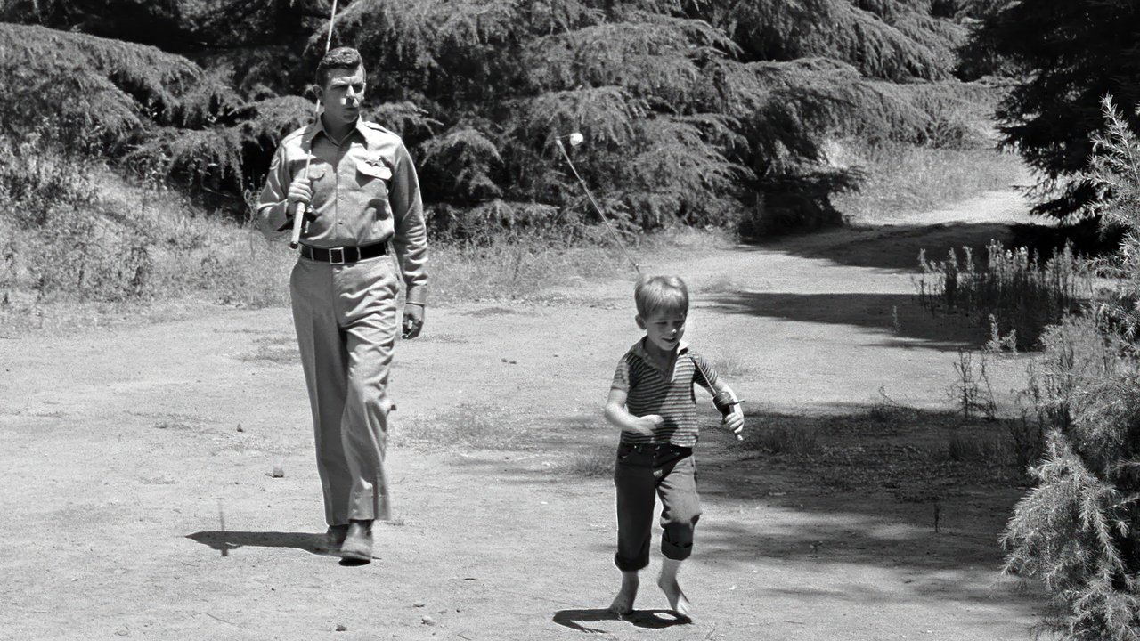 The Andy Griffith Show Season 2 Episode 27 : Three's a Crowd