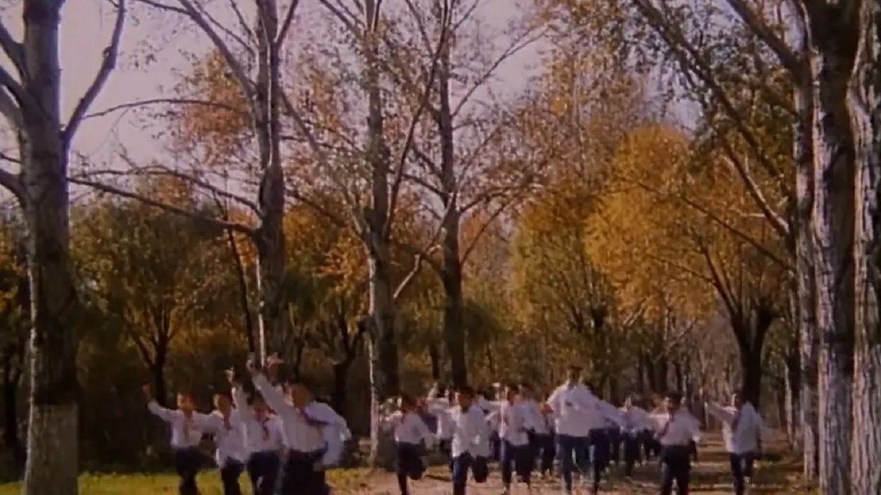 movie backdrop