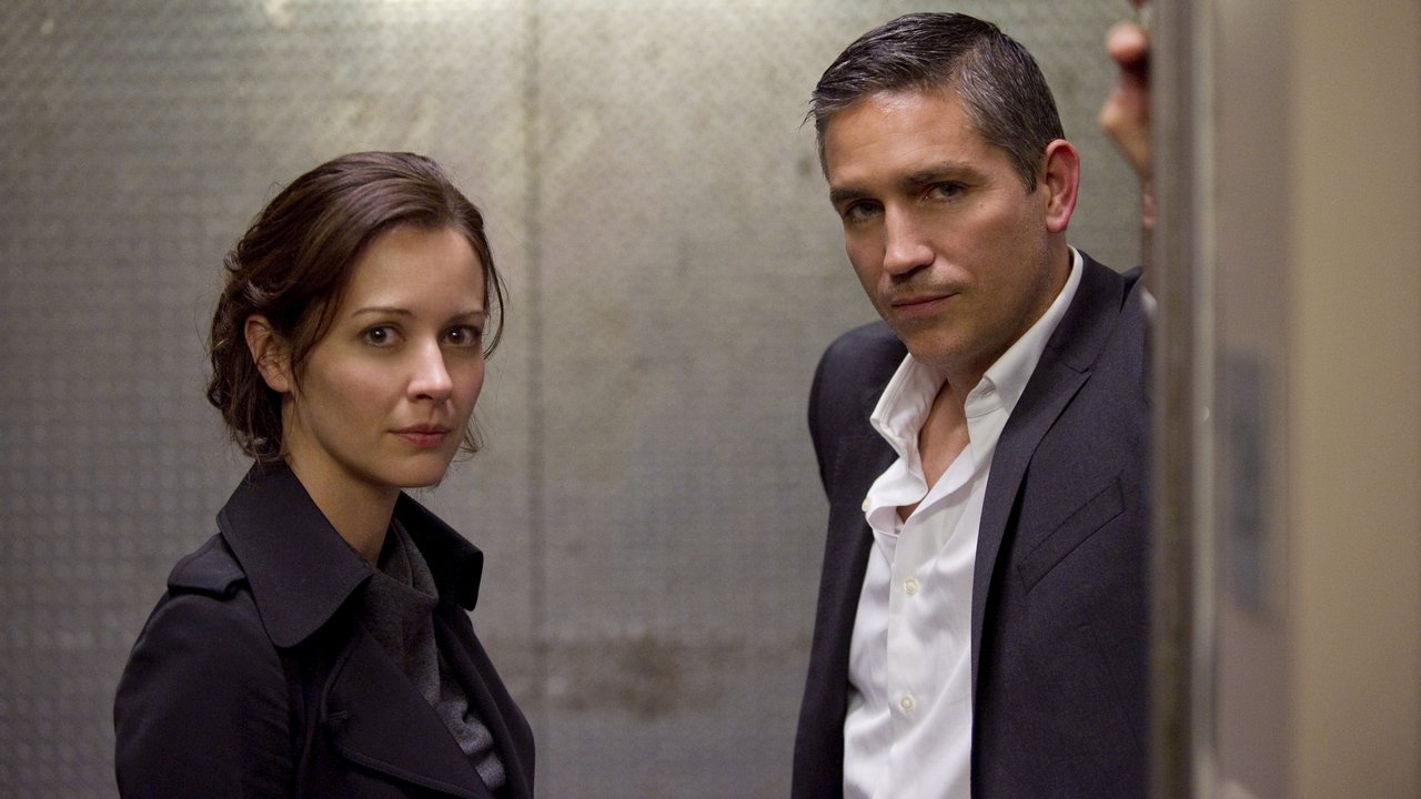 Person of Interest Season 1 Episode 17 : Baby Blue