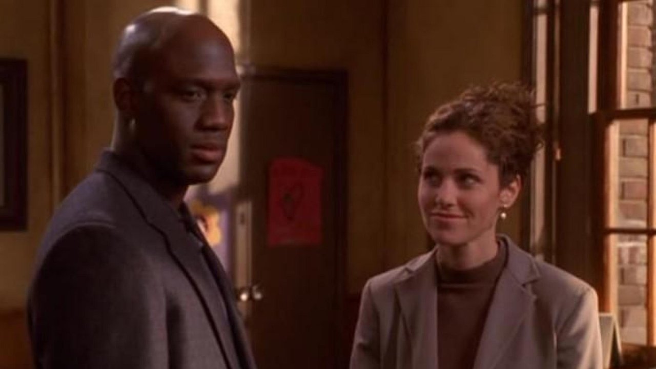 Judging Amy - Season 4