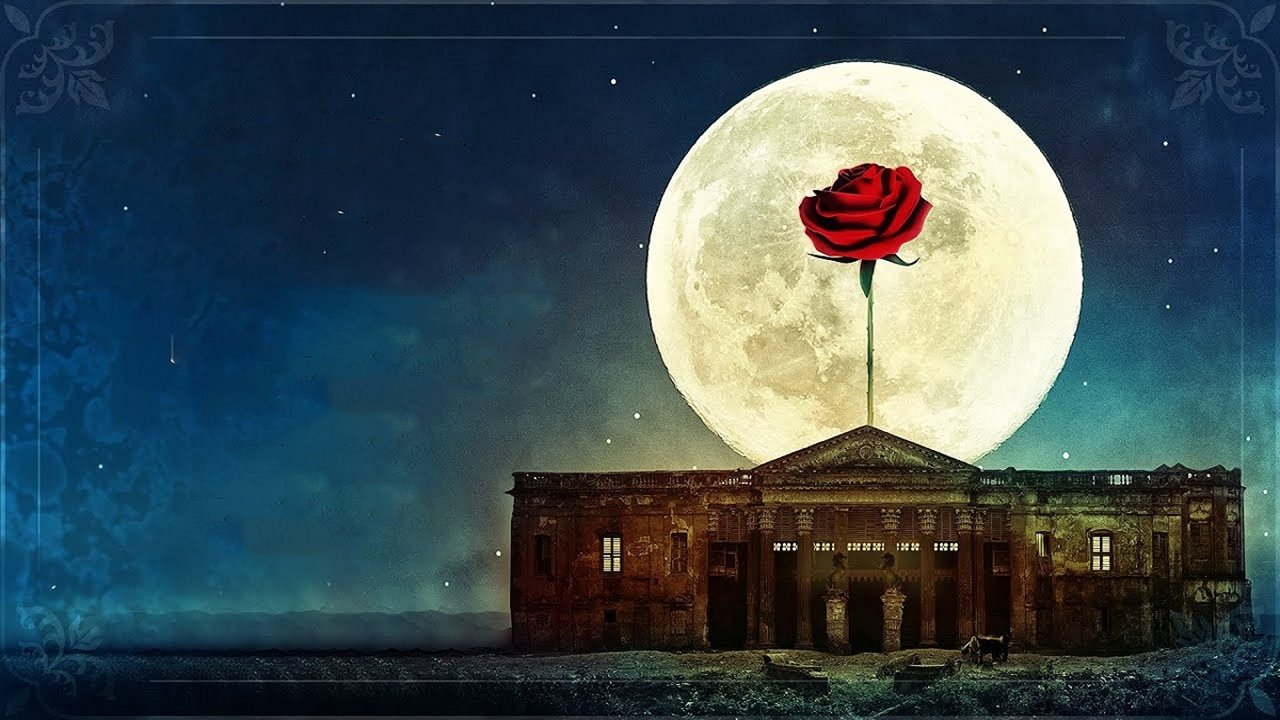 movie backdrop
