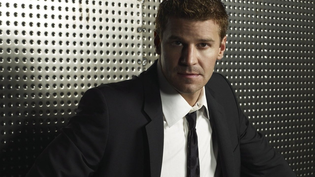 Bones Season 1 Episode 12 : The Superhero in the Alley
