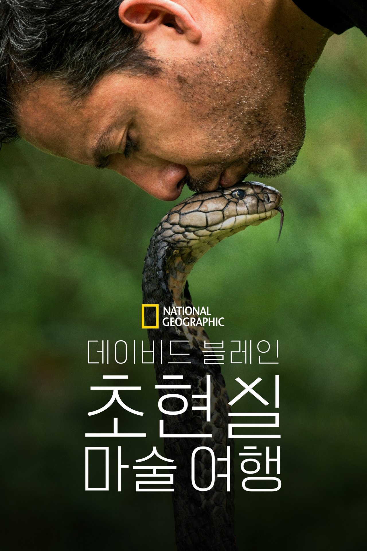 데이비드 블레인: 초현실 마술 여행