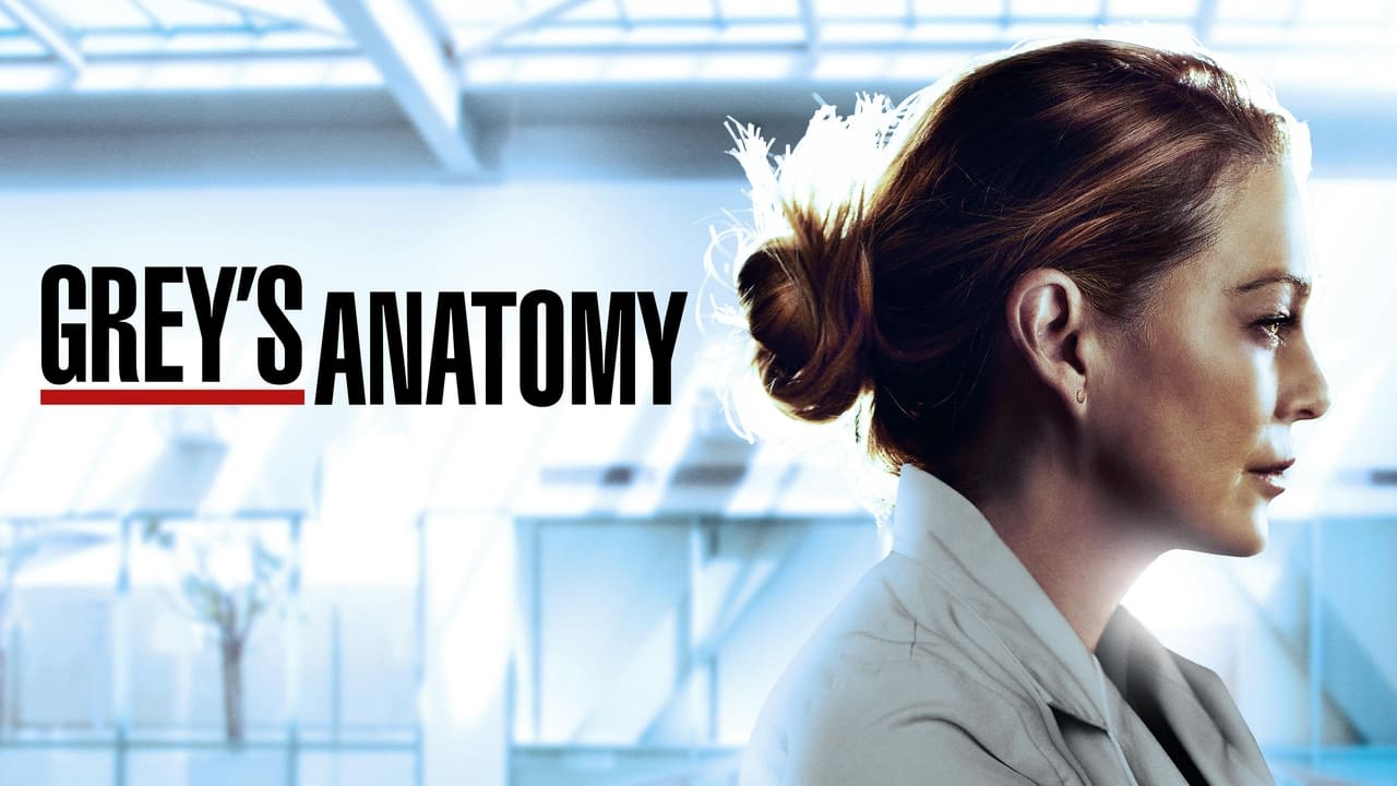 Grey's Anatomy Season 4 Episode 7 : Physical Attraction, Chemical Reaction
