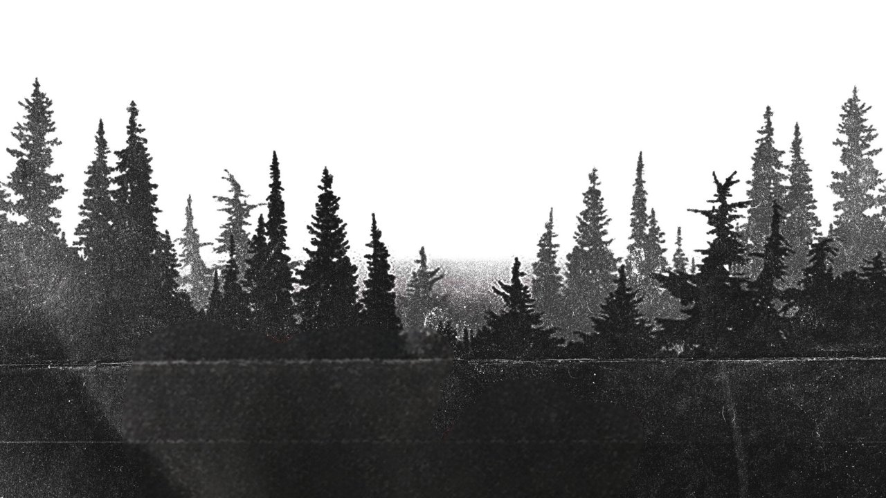 movie backdrop