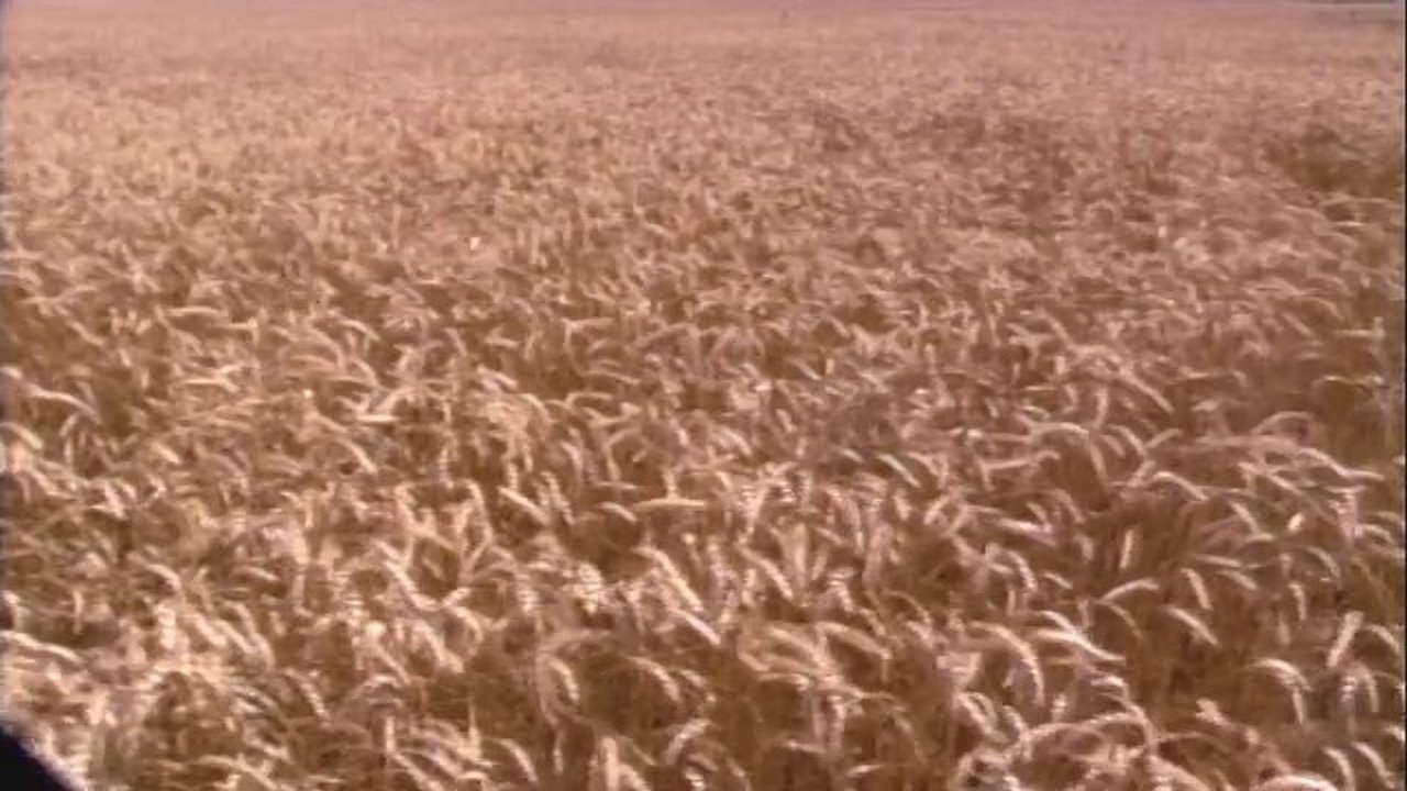 movie backdrop