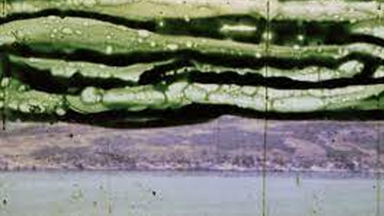 movie backdrop