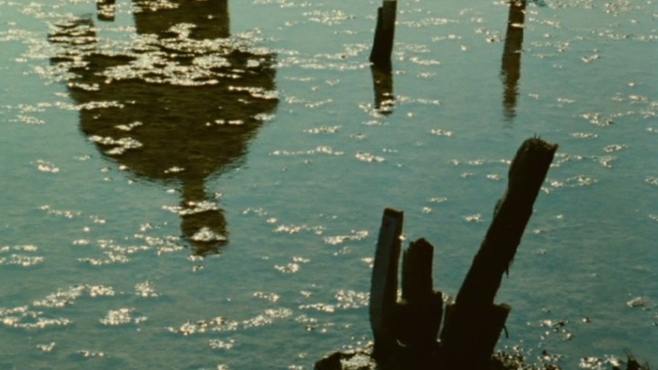 movie backdrop
