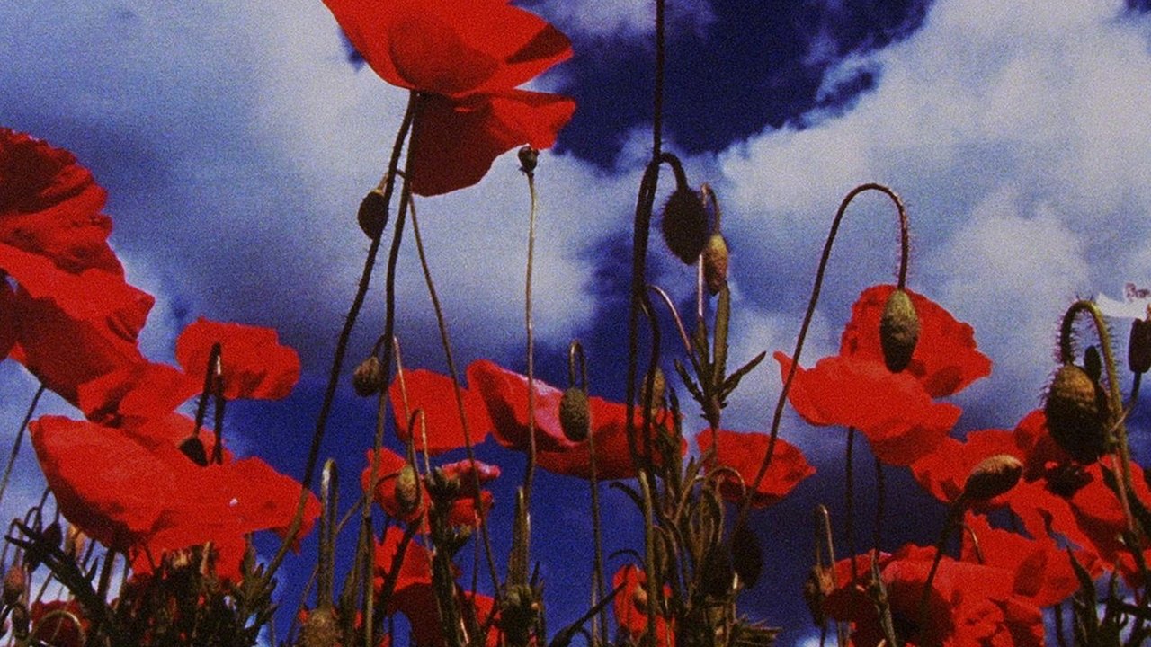 movie backdrop