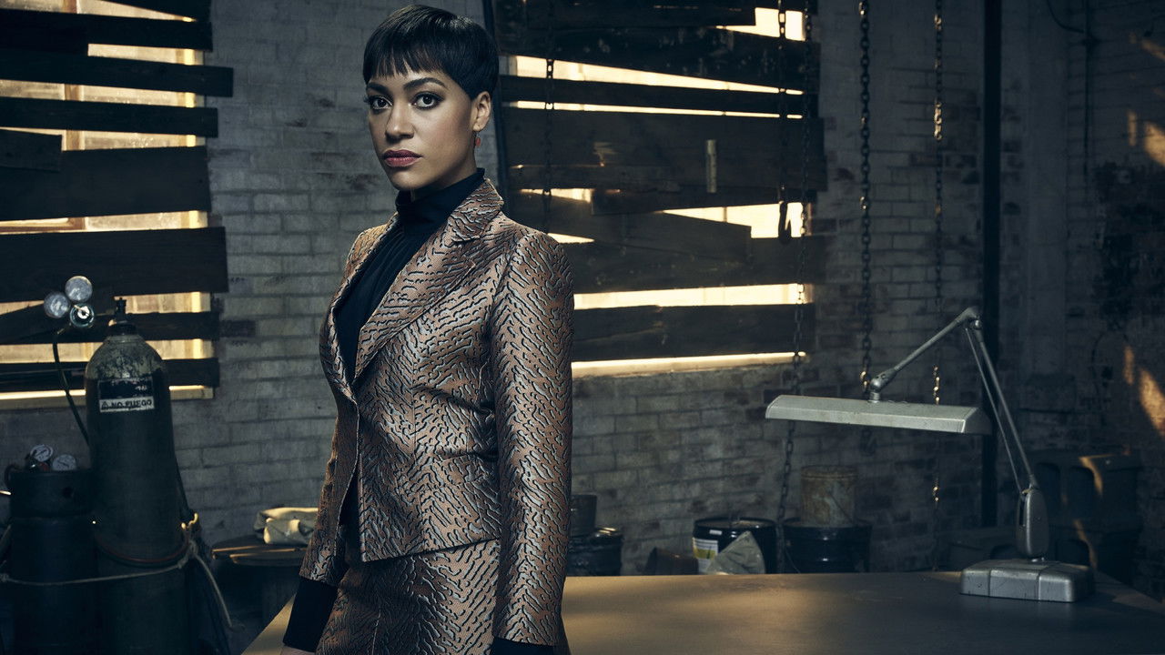 The Good Fight - Season 3 Episode 3 : The One Where Diane Joins the Resistance