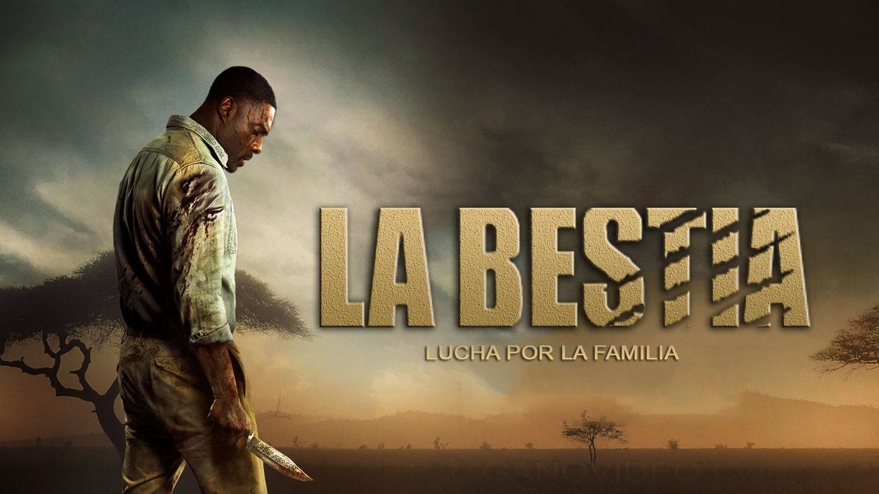 Images posters
