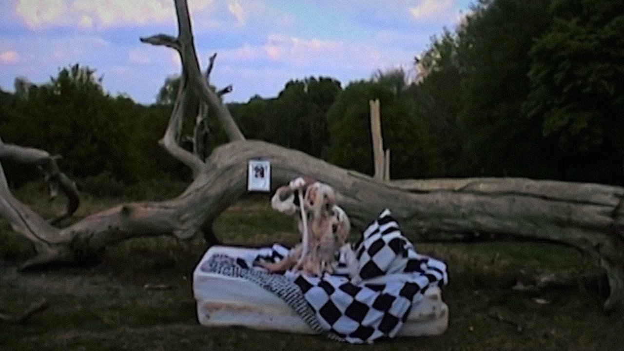 movie backdrop
