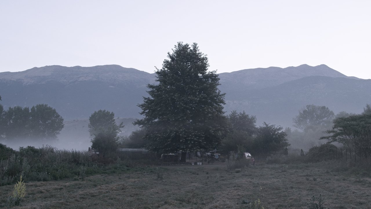 movie backdrop
