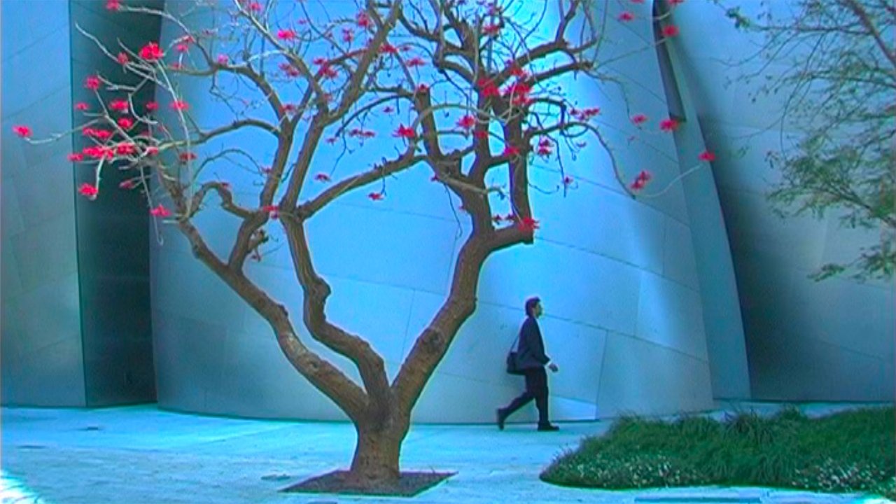 movie backdrop