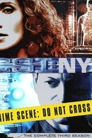 CSI: NY