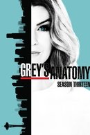 Grey’s Anatomy Saison 13 Grey’s Anatomy Saison 13
