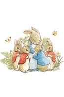 Beatrix potter : les contes de pierre lapin et ses amis