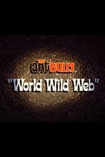 World Wide Web World Wide Web