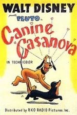 Canine Casanova Canine Casanova