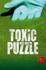 Toxic Puzzle Toxic Puzzle