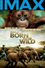 Born to Be Wild Born to Be Wild