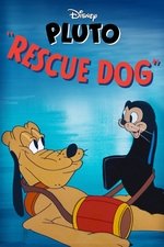 Rescue Dog Rescue Dog