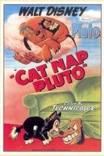 Cat Nap Pluto Cat Nap Pluto