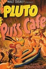Puss Cafe Puss Cafe