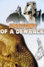 Anatomy of a Dewback Anatomy of a Dewback