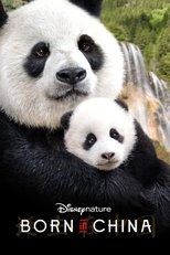 Image Born in China