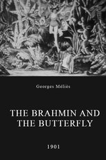 The Brahmin and the Butterfly