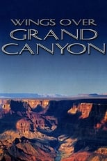 Wings over Grand canyon