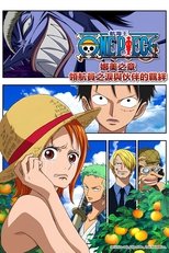 海贼王娜美篇:航海士的眼泪与牵绊