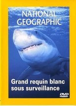 National Geographic : Grand requin blanc sous surveillance