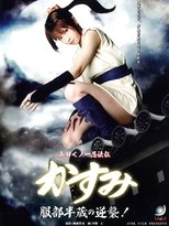真田女忍者霞传5:服部半藏的逆袭