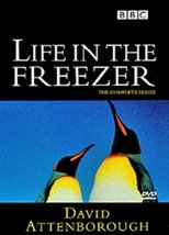 Life in the Freezer