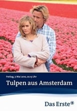 Tulpen aus Amsterdam