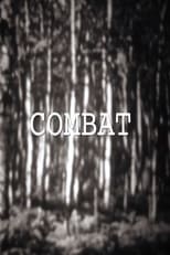 Combat