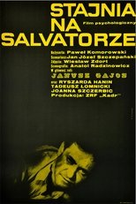 Stajnia na Salvatorze