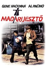 Madárijesztő