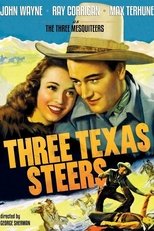 Three Texas Steers